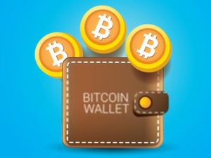 analisis_billeteras_bitcoin