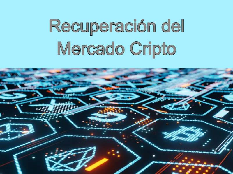 el mercado de bitcoin se recupera