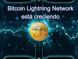 _Bitcoin Lightning Network
